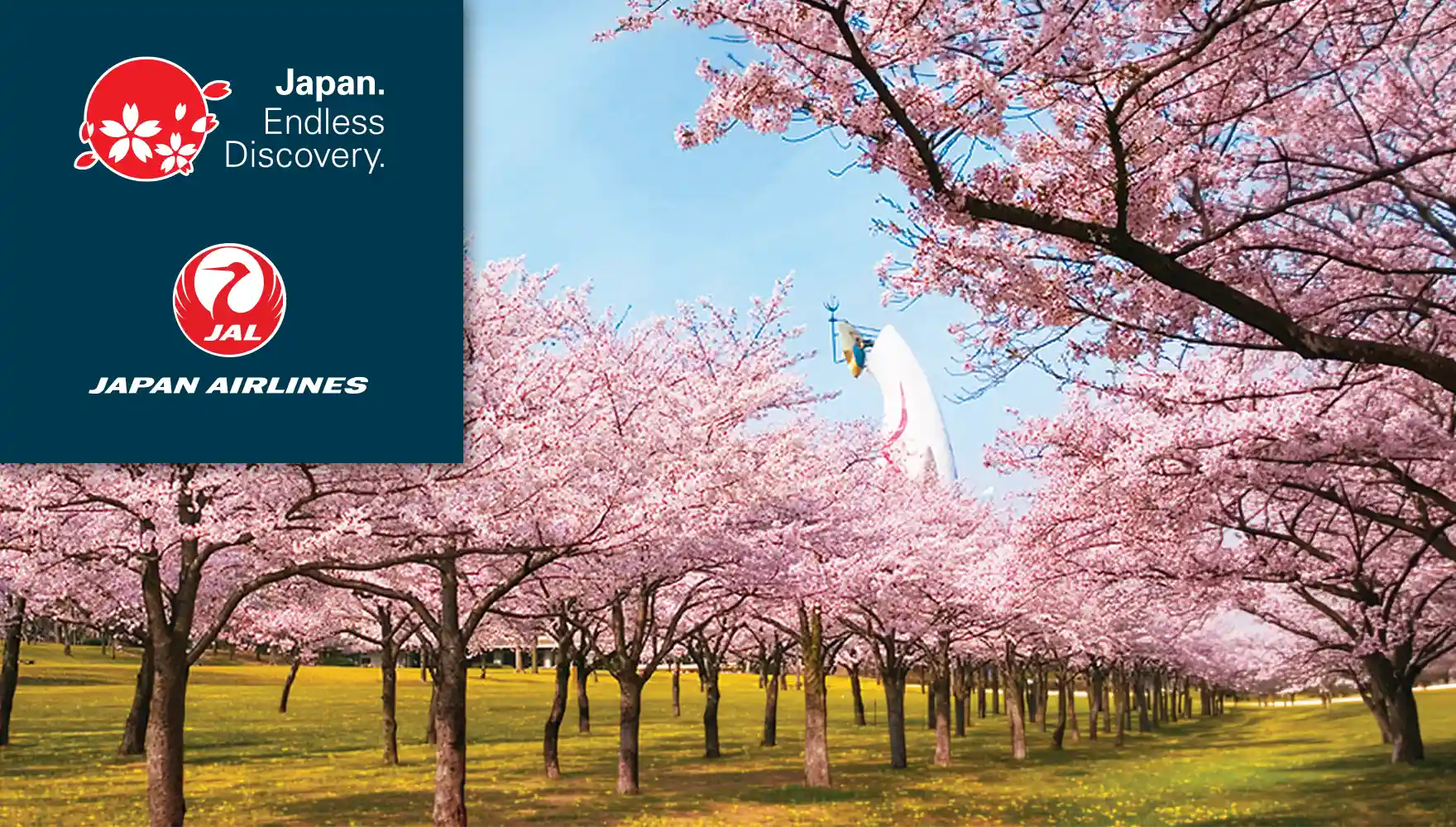 Japan Cherry Blossoms Expo 70 Commemorative Park 1