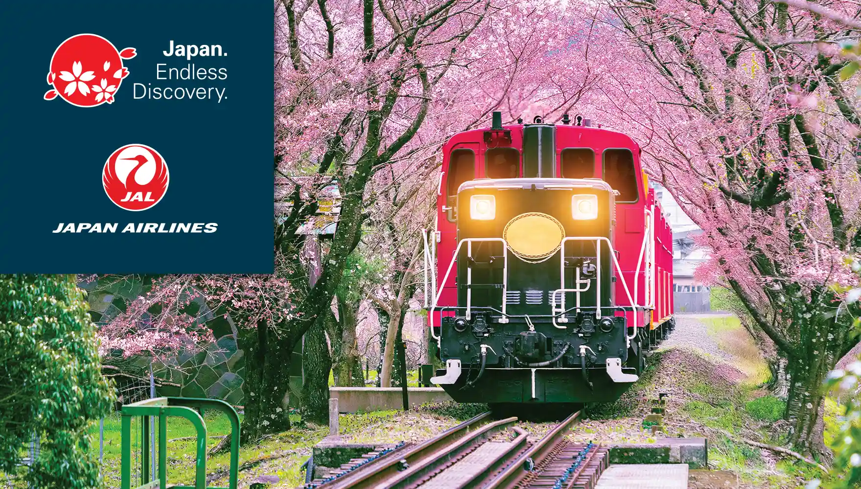 Japan Sagano Torokko Ressha Romantic Train Kyoto Kameoka Arashiyama Cherry Blossoms