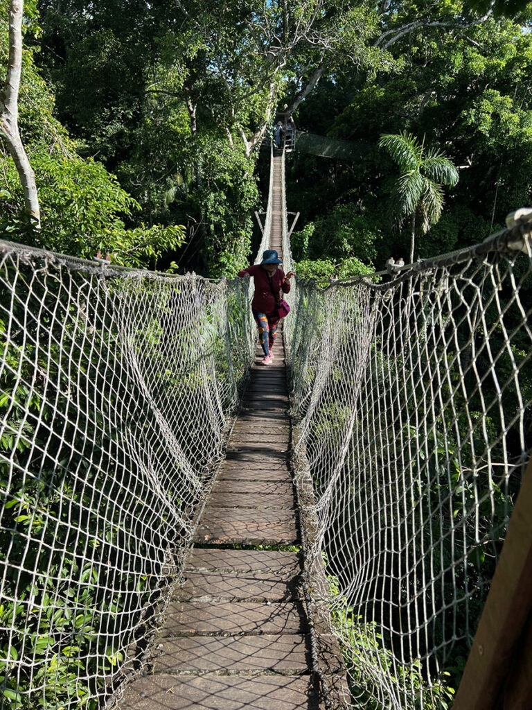 10-Amazon-Suspension-Bridge