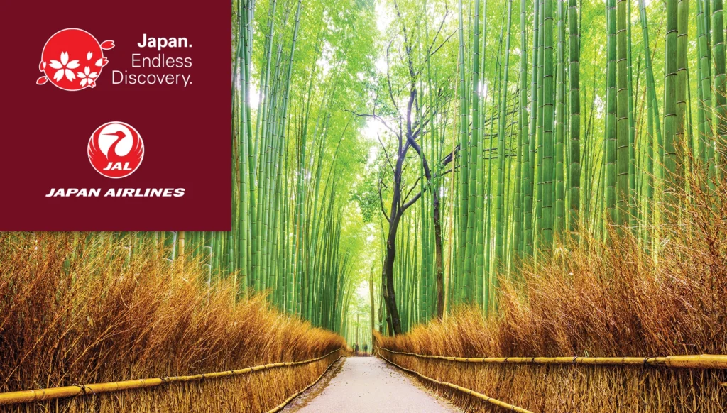 2026 Fall Best of Kyoto Uji Osaka Tour #1, photo of Arashiyama Bamboo Forest, Kyoto, Japan