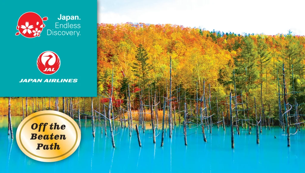 2026 Fall Ultimate Hokkaido