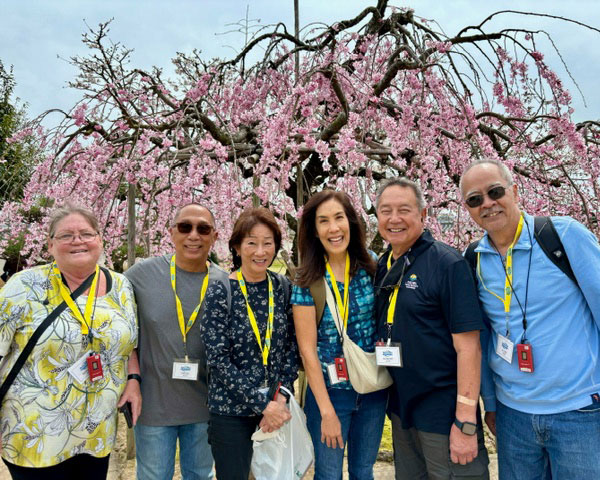 5-Cherry-Blossoms