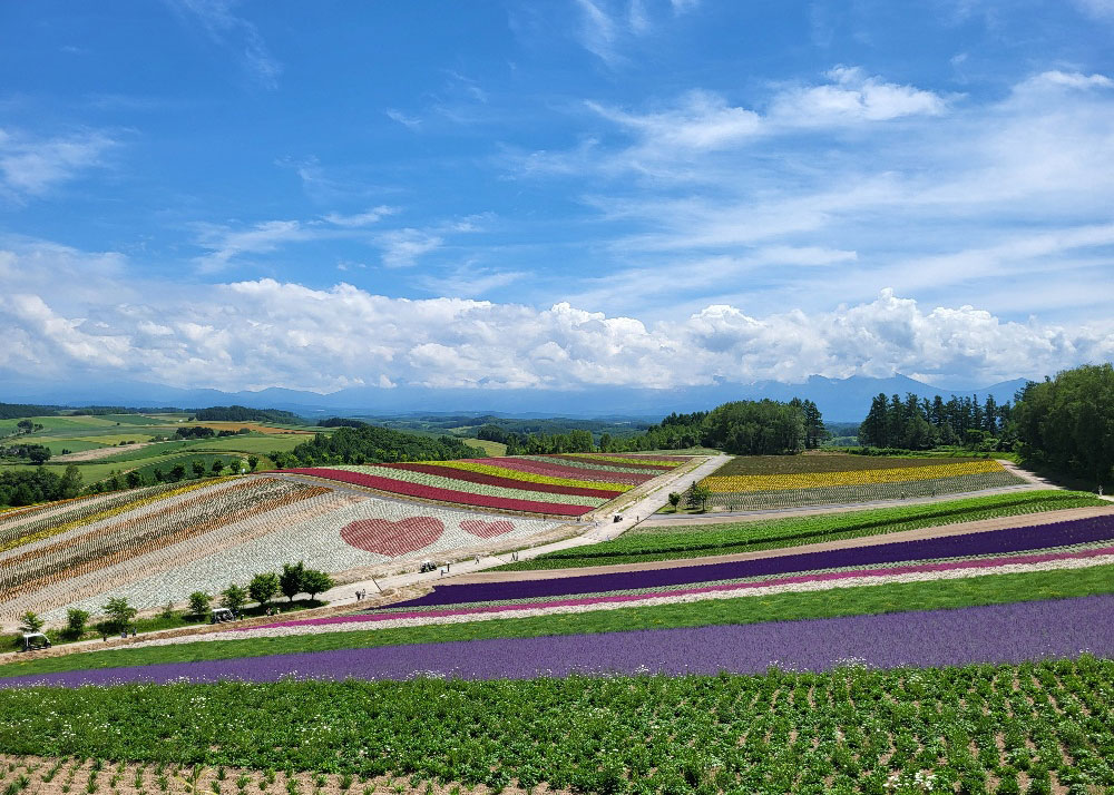 6-Shikisai-no-oka-Farm