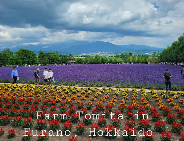 7-Farm-Tomita