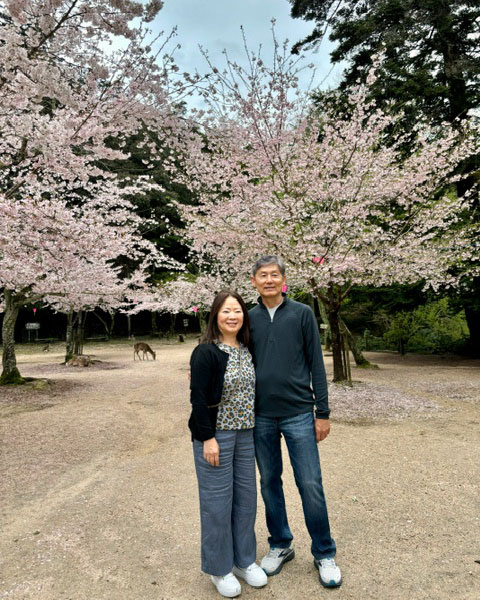 8-Iwaso-Cherry-Blossoms