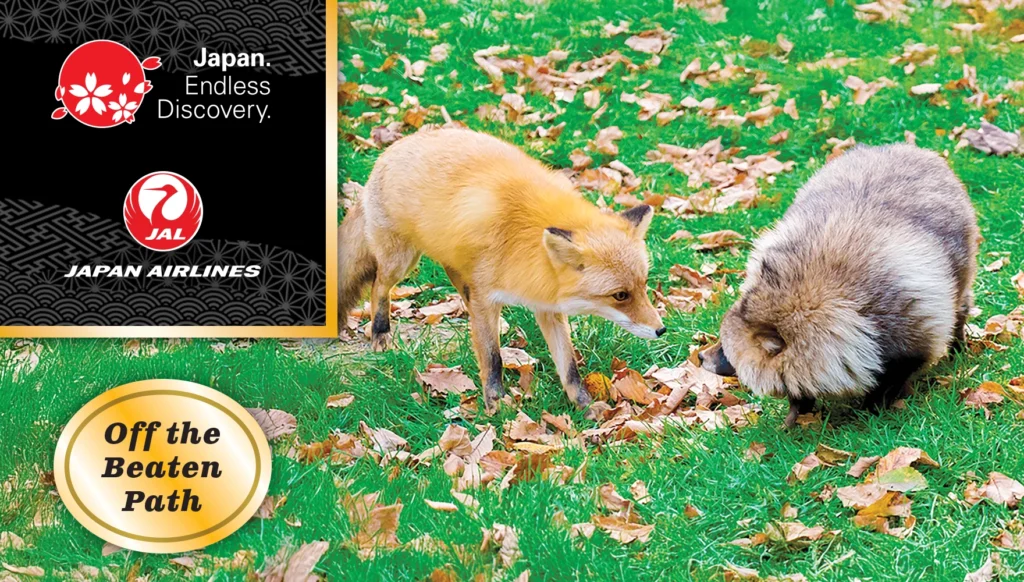 Affordable Luxury - Small Group Tour: Gourmet Onsen Hokkaido