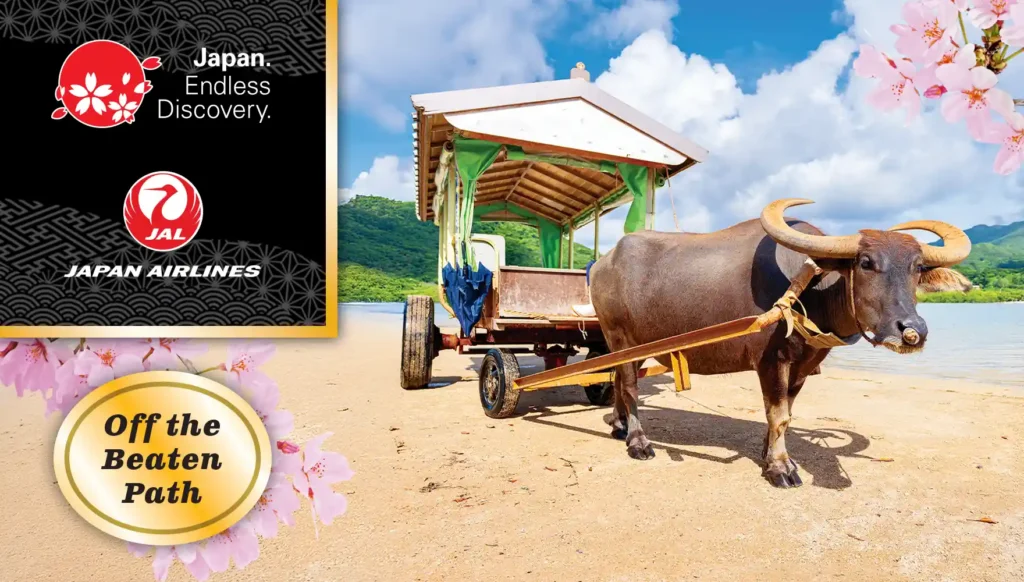 Affordable Luxury: 2027 Cherry Blossoms Ryukyu Okinawa Islands