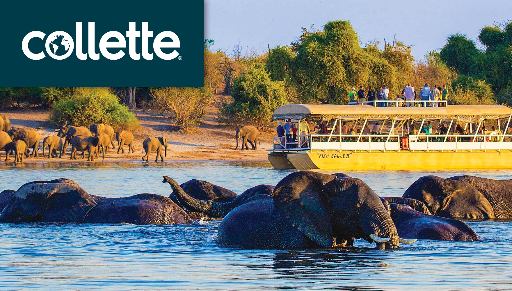 Photo of a game cruise with a herd of elephants