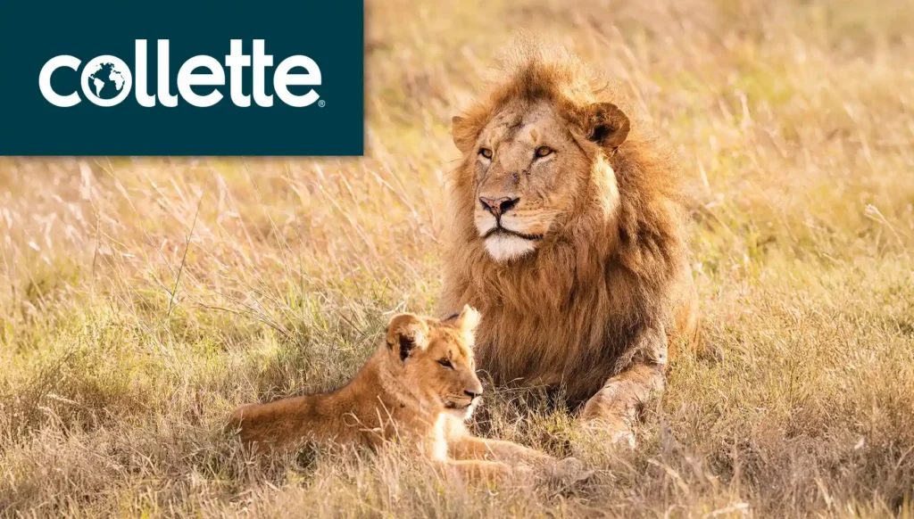 2027 Wilderness of Southern Africa: Safari by Land & Water Tour #2