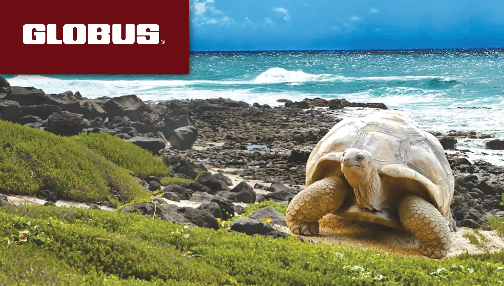 Globus Galapagos Giant Tortoise