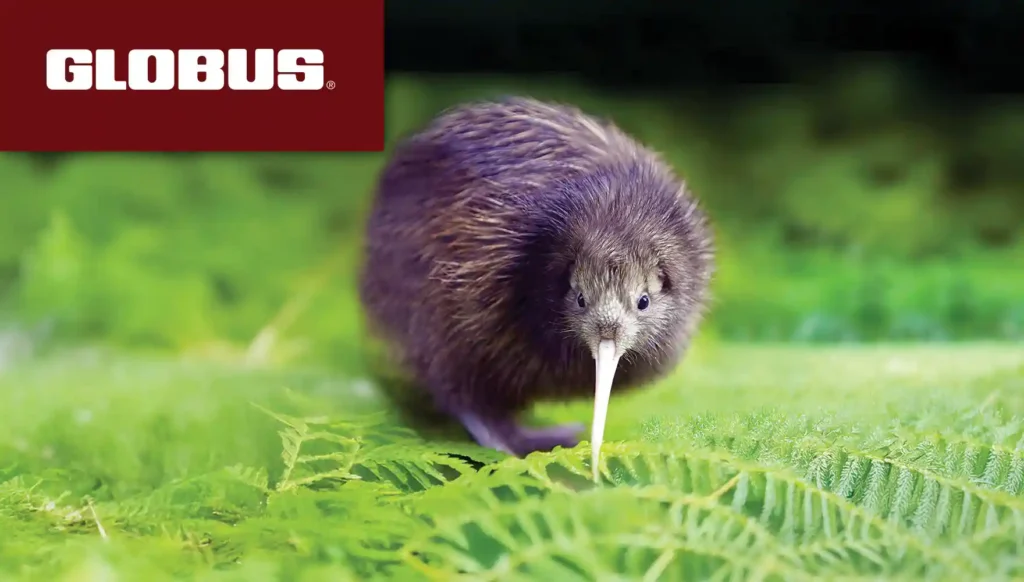 2027 Best of New Zealand