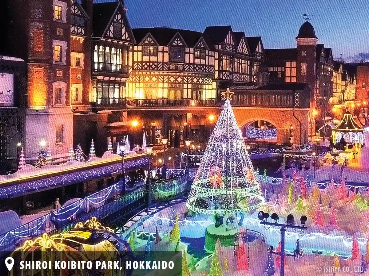 A photo of the holiday illuminations at the Shiroi Koibito Park in Sapporo, Hokkaido