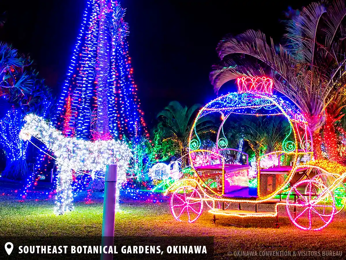 A photo of a light display at the Southeast Botanical Gardens in Okinawa during the holiday illuminations