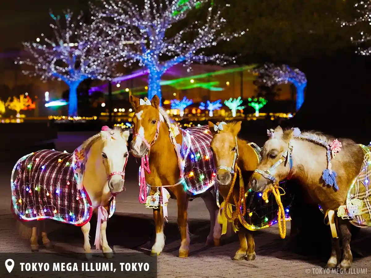 Photo of miniature ponies at Oi Racecourse with the TOKYO MEGA ILLUMI illuminations in the background
