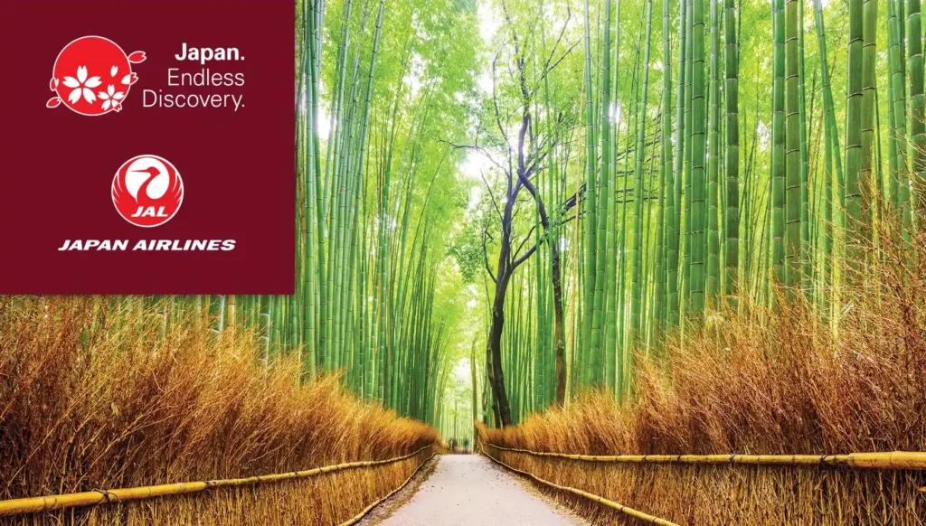 Photo of the towering bamboo at Arashiyama Bamboo Forest