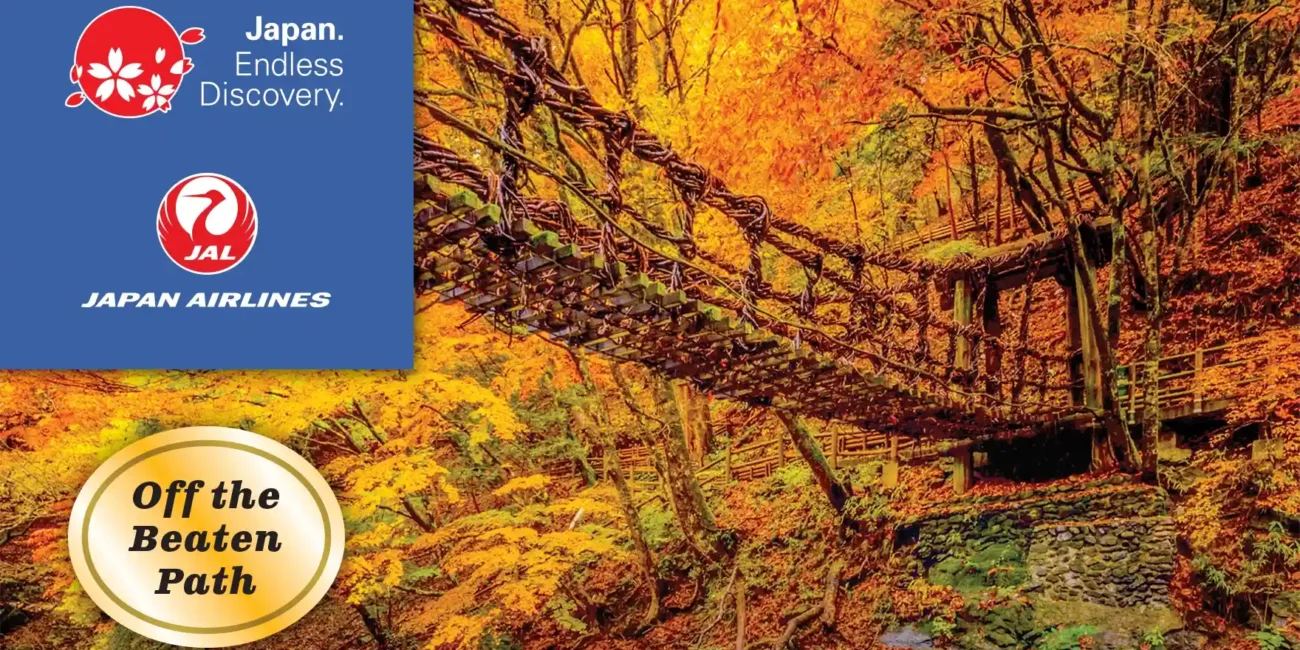 Photo of Kazurabashi Bridge in the Iya Valley surrounded by magnificent fall foliage colors