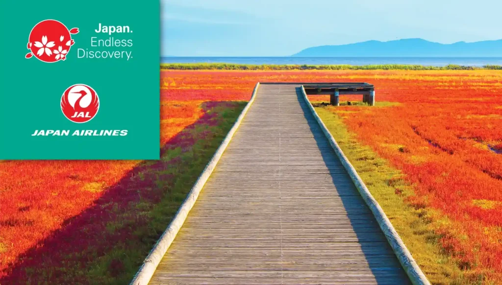 Photo of a wooden walkway surrounded by red “coral grass” in Lake Notoro Samphire Field, Abashiri