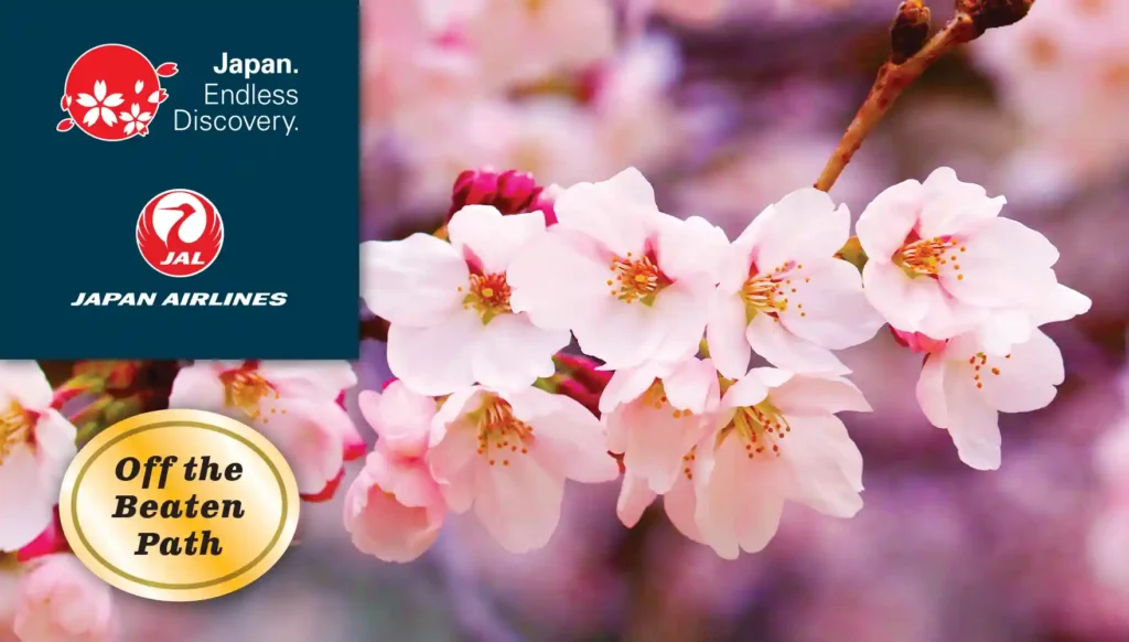 2027 Cherry Blossoms Grand Okinawa & Fukuoka Shopping