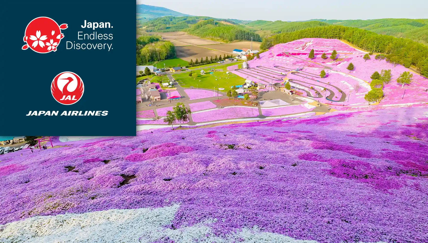 Higashimokoto’s Shibazakura (Pink Moss Phlox), Hokkaido, Japan | JNTO, Japan Airlines
