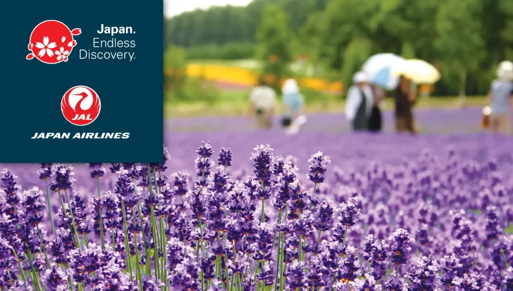 2027 Summer Hokkaido Lavender Highlights