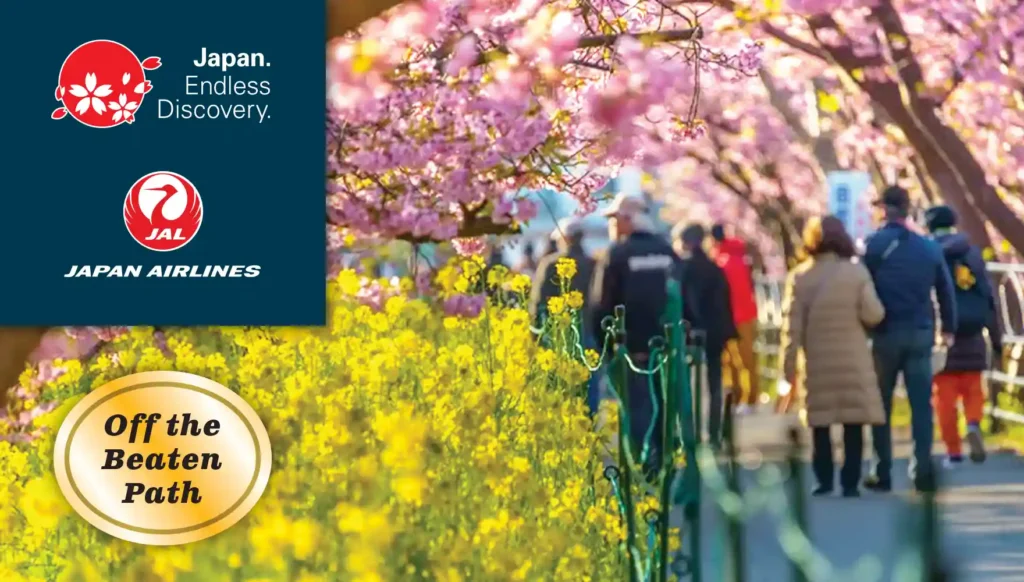 2027 Cherry Blossoms Grand Okinawa, Yokohama, Kawazu, Atami & Tokyo Shopping