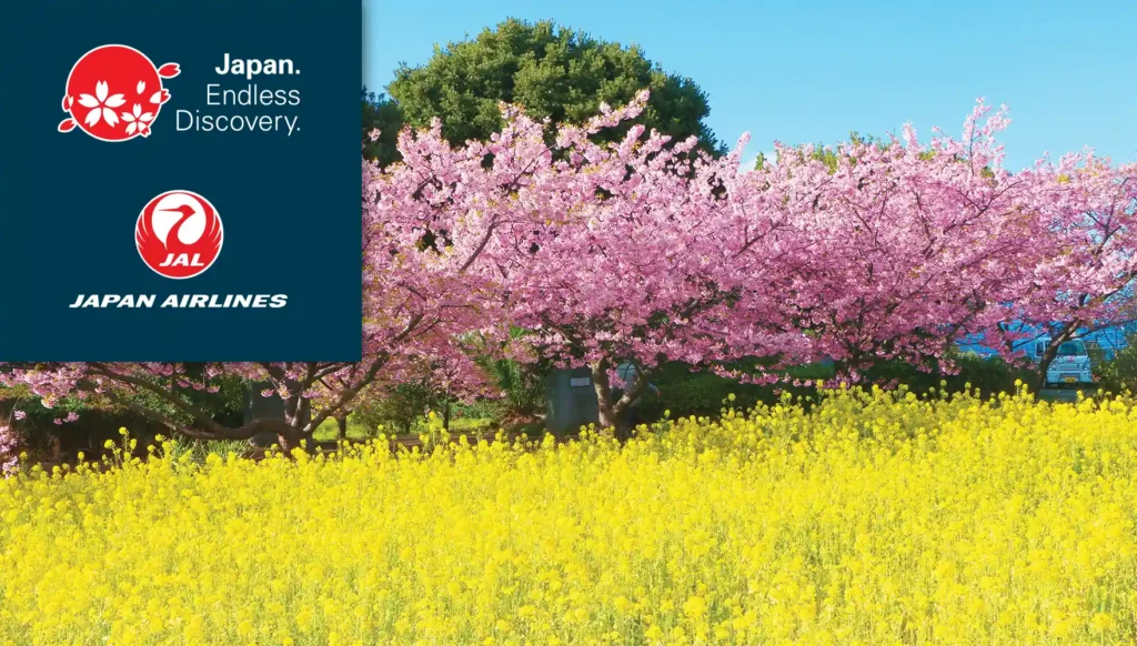 2027 Hokkaido Snow Festival Plus Kawazu Cherry Blossoms & Atami Plum Blossoms Festival Tour #1
