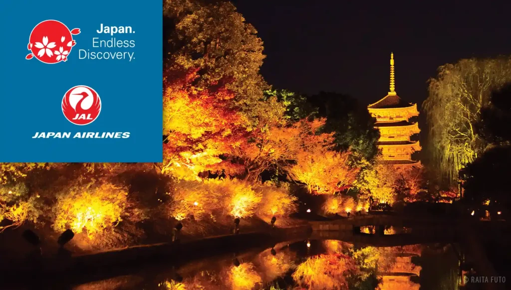 Photo of the Toji Temple illuminations in Kyoto