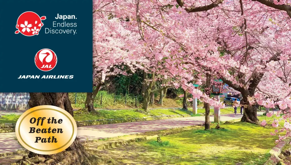 Yahiko Park Cherry Blossoms, Niigata, Japan | JNTO, Japan Airlines
