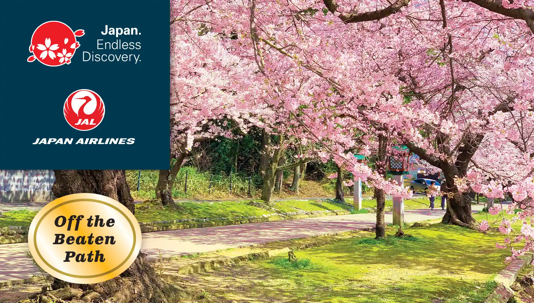 Yahiko Park Cherry Blossoms, Niigata, Japan | JNTO, Japan Airlines
