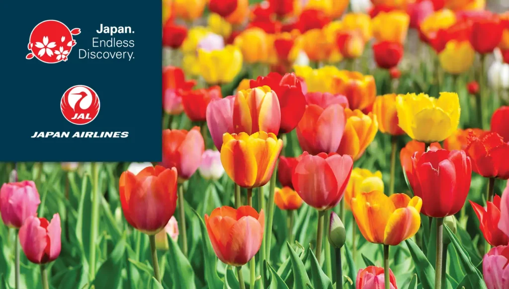 2027 Hokkaido Spring Time Flowers Tour #2