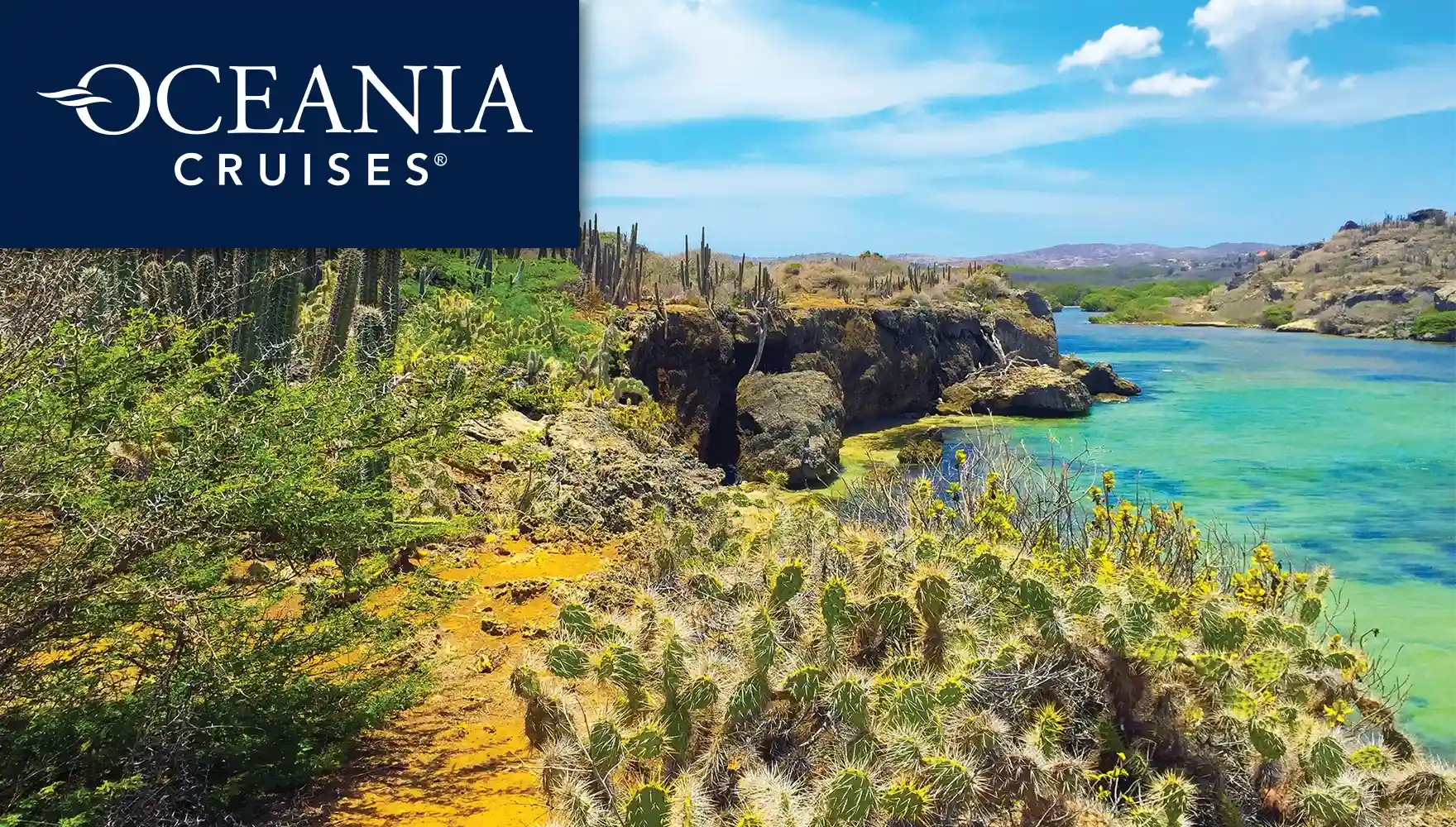 2027 Caribbean Calm Cruise, photo of cactus along the ocean in Curacao, located in the southern Caribbean Sea.
