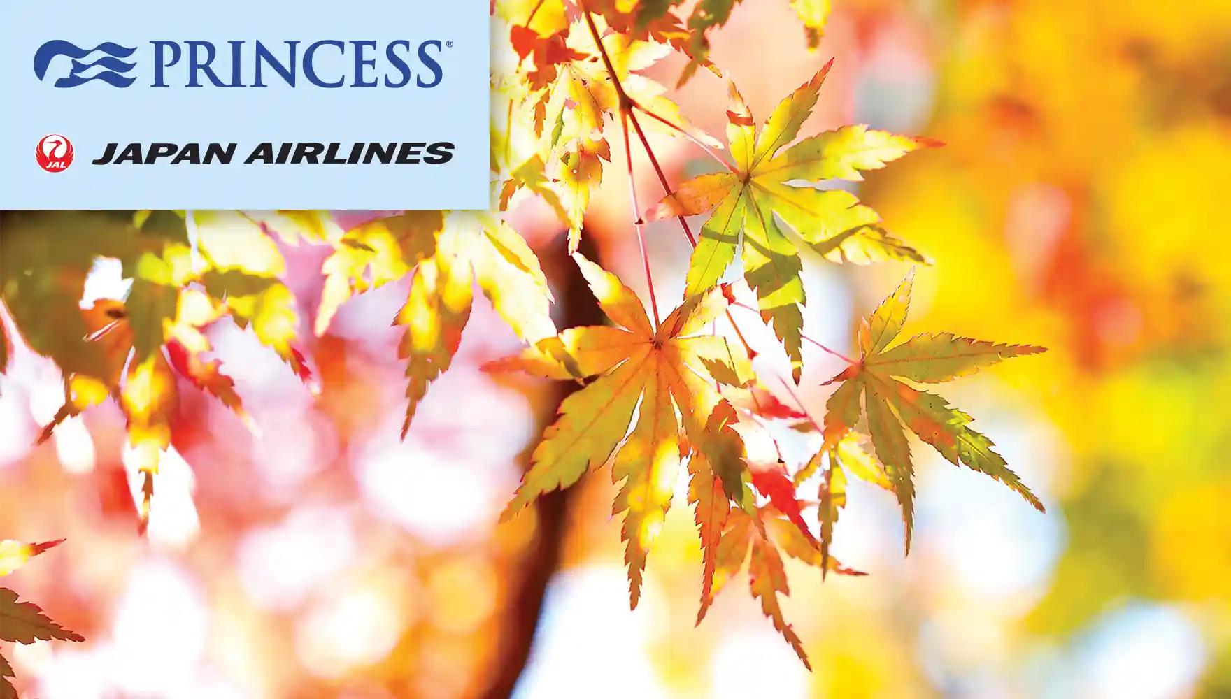 Princess Cruises Generic Autumn JAL 1
