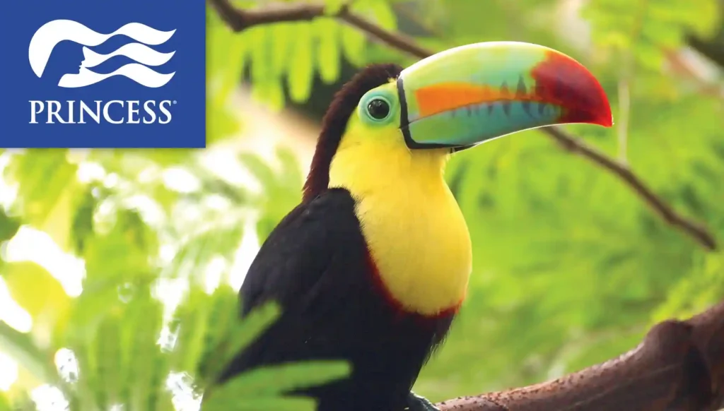 2028 Panama Canal Cruise — Princess