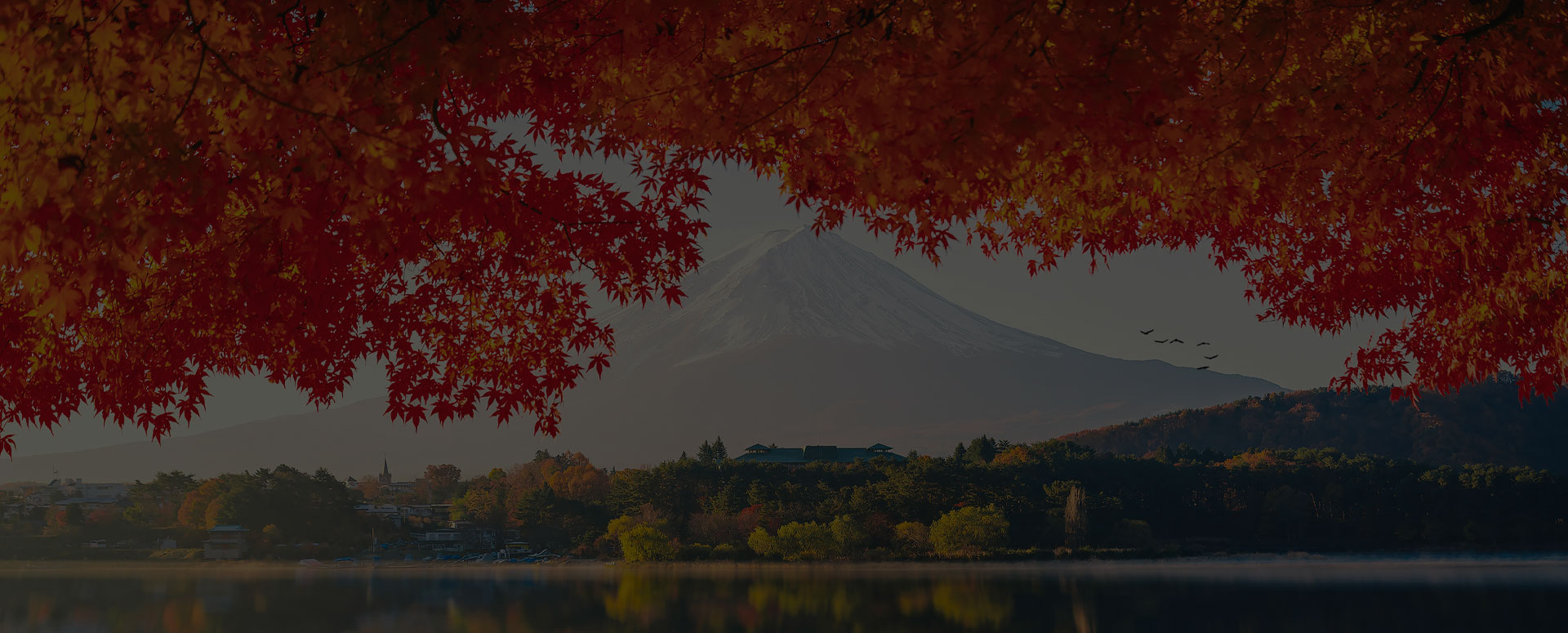 Mount Fuji, Japan in Fall