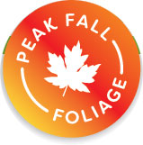 foliage