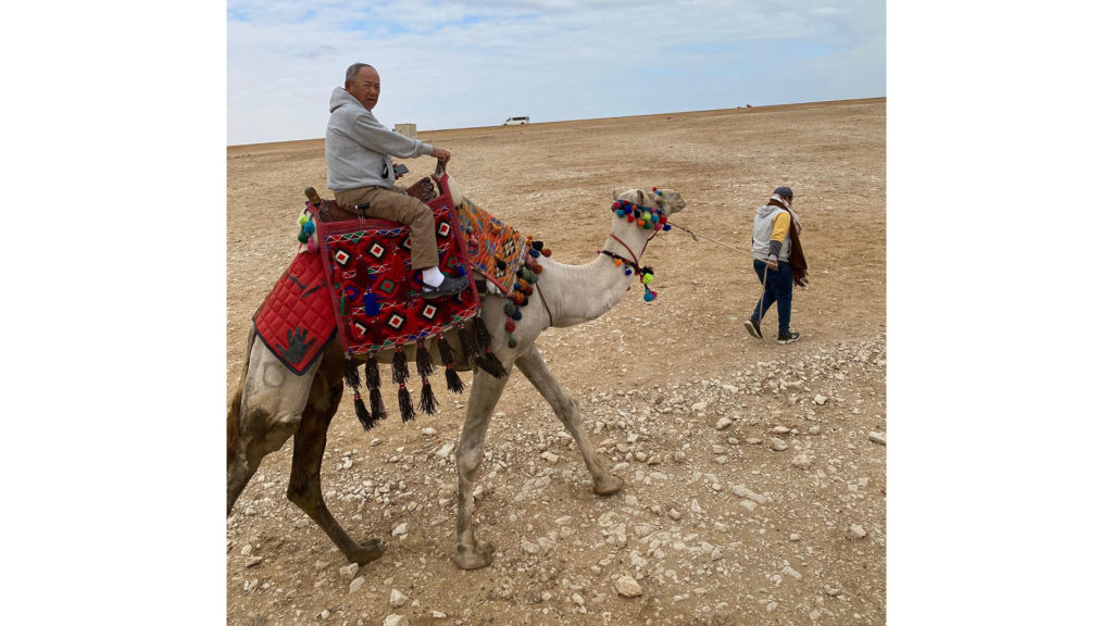 Camel ride, Giza Pyramids
