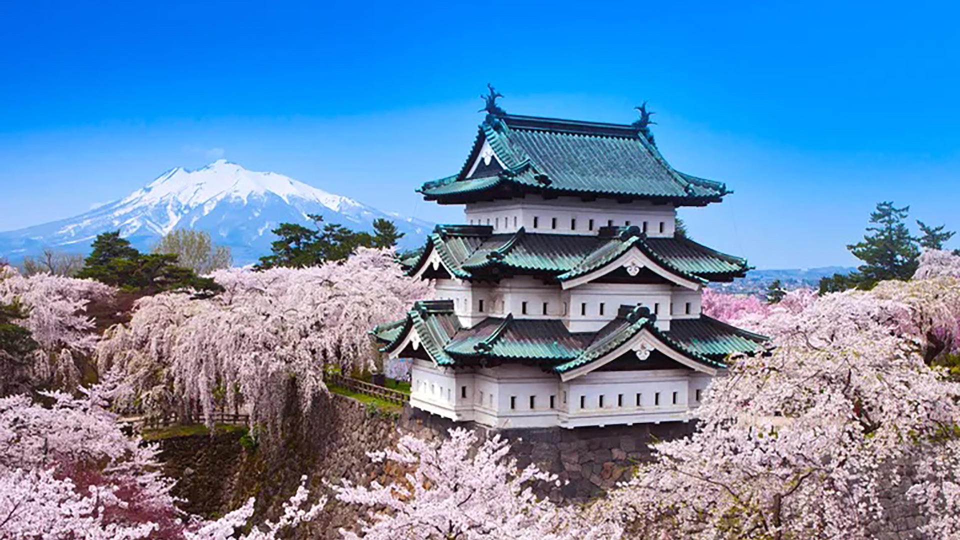 A Travel Advisor Spotlights the Lesser-Known Tourism Appeal of Tohoku, Japan