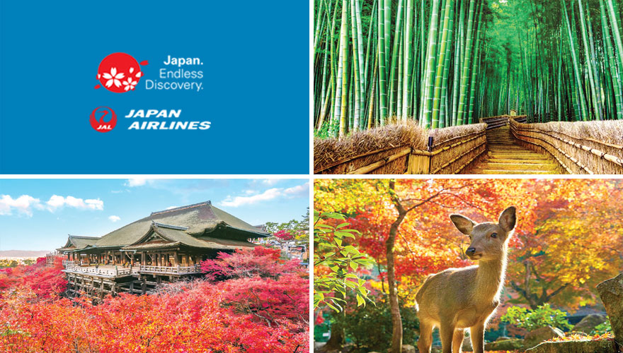 2024 Fall Best of Kyoto, Nara & Osaka Tour 2 NonStop Travel Voted