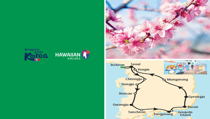 2025 Cherry Blossoms Kwave & Drama Korea Land Tour NonStop Travel Voted Honolulu, Hawaii's