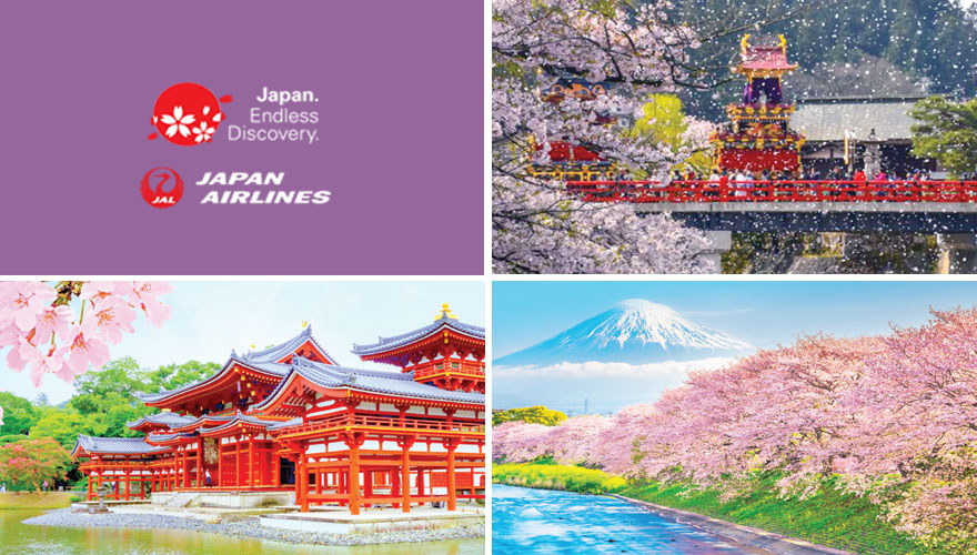 2025 Cherry Blossoms Takayama Spring Festival NonStop Travel Voted