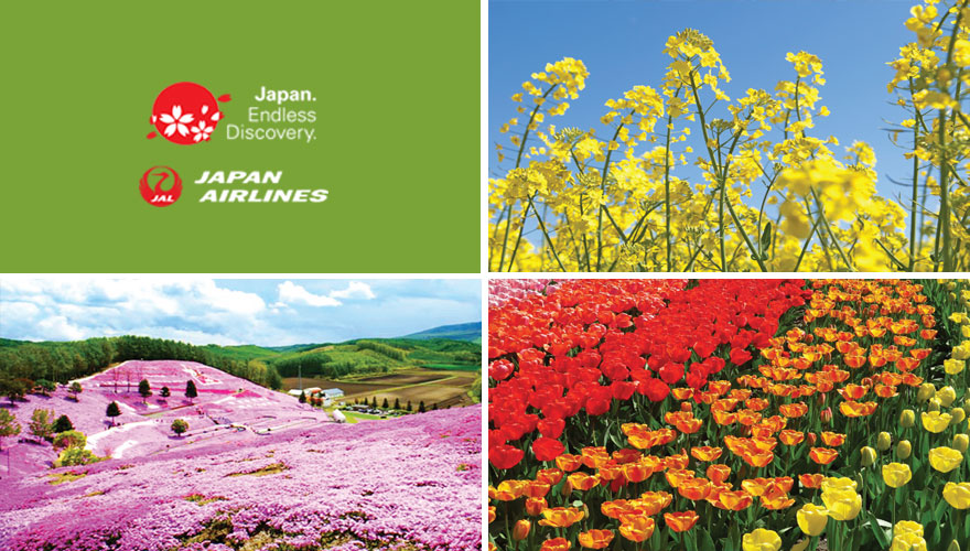 2025 Hokkaido Spring Time Flower Tour - Non-Stop Travel - Voted ...