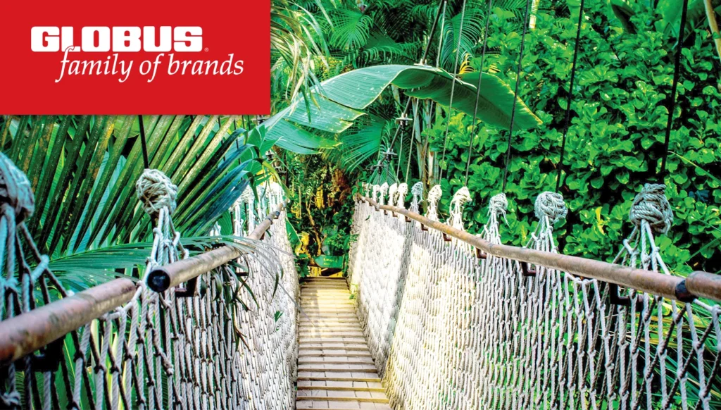 Photo of a suspension bridge in the Amazon Rainforest