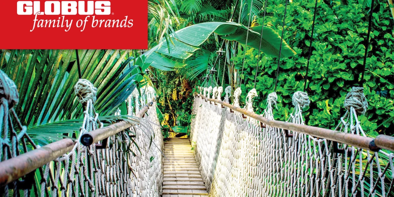 Photo of a suspension bridge in the Amazon Rainforest