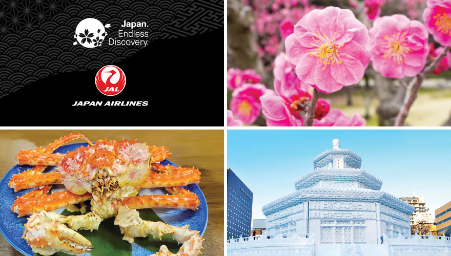 Affordable Luxury - Small Group Tour - 2026 Hokkaido Snow Festival Plus Tokyo Shopping & Plum Festival