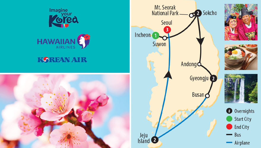 2026 Cherry Blossoms Discover Korea Land Tour