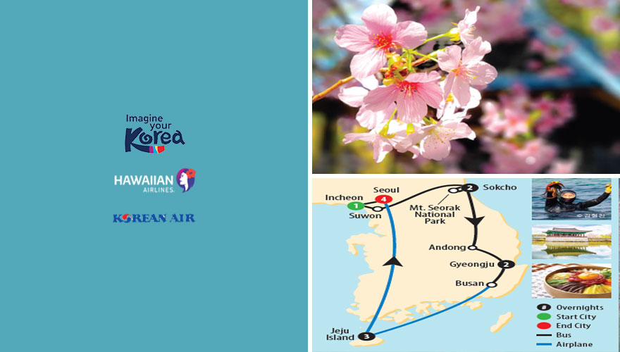 2026 Cherry Blossoms Grand Discover Korea Land Tour