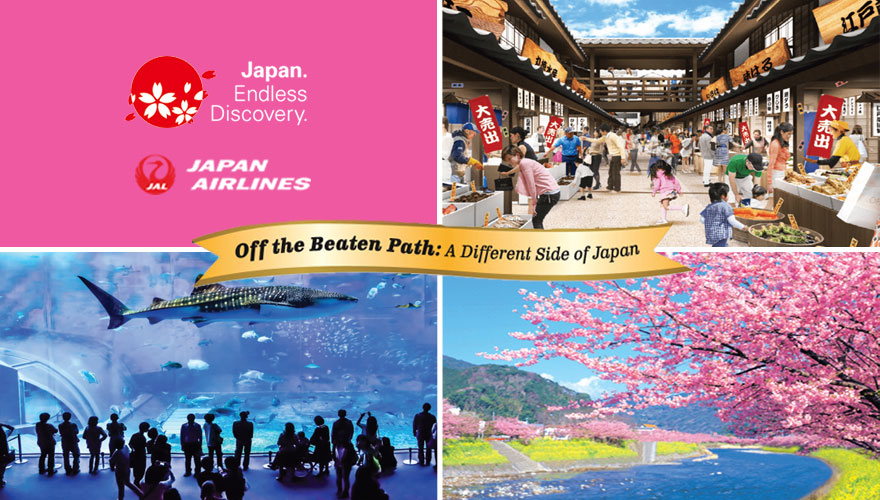 2026 Cherry Blossoms Grand Okinawa, Yokohama, Kawazu & Tokyo Shopping