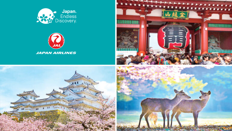 2026 Cherry Blossoms Ultimate Tokaido Road with Miyajima & Hiroshima Tour #2