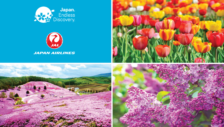 2026 Hokkaido Spring Time Flower Tours #1, #2 & #3