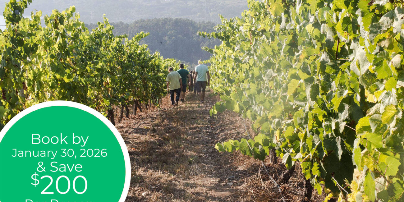 2026 Essential South America